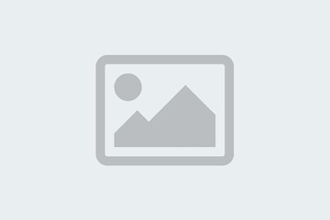 SaaS (Software as a Service)